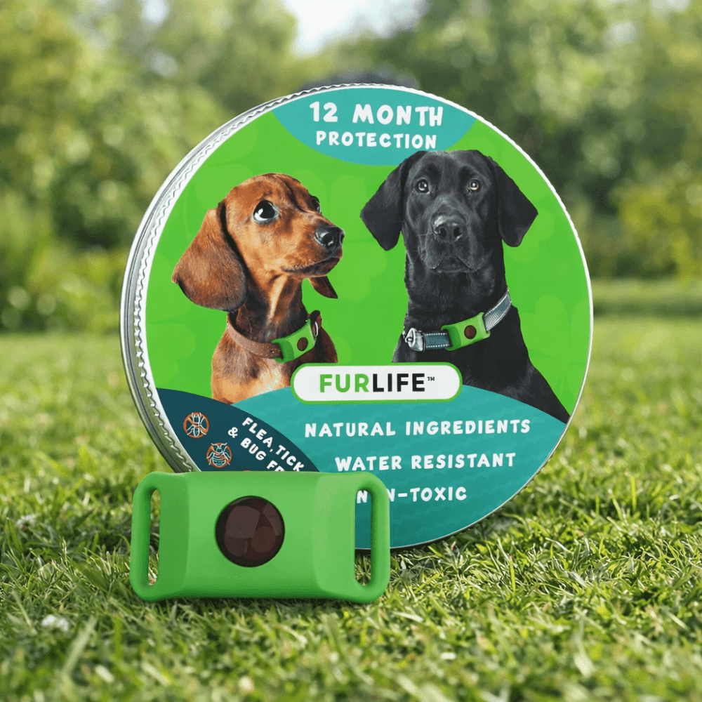 FurLife™ 12-Month Protection