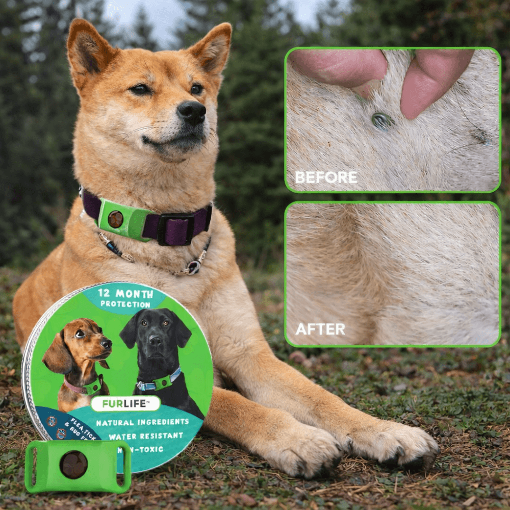 FurLife™ 12-Month Protection