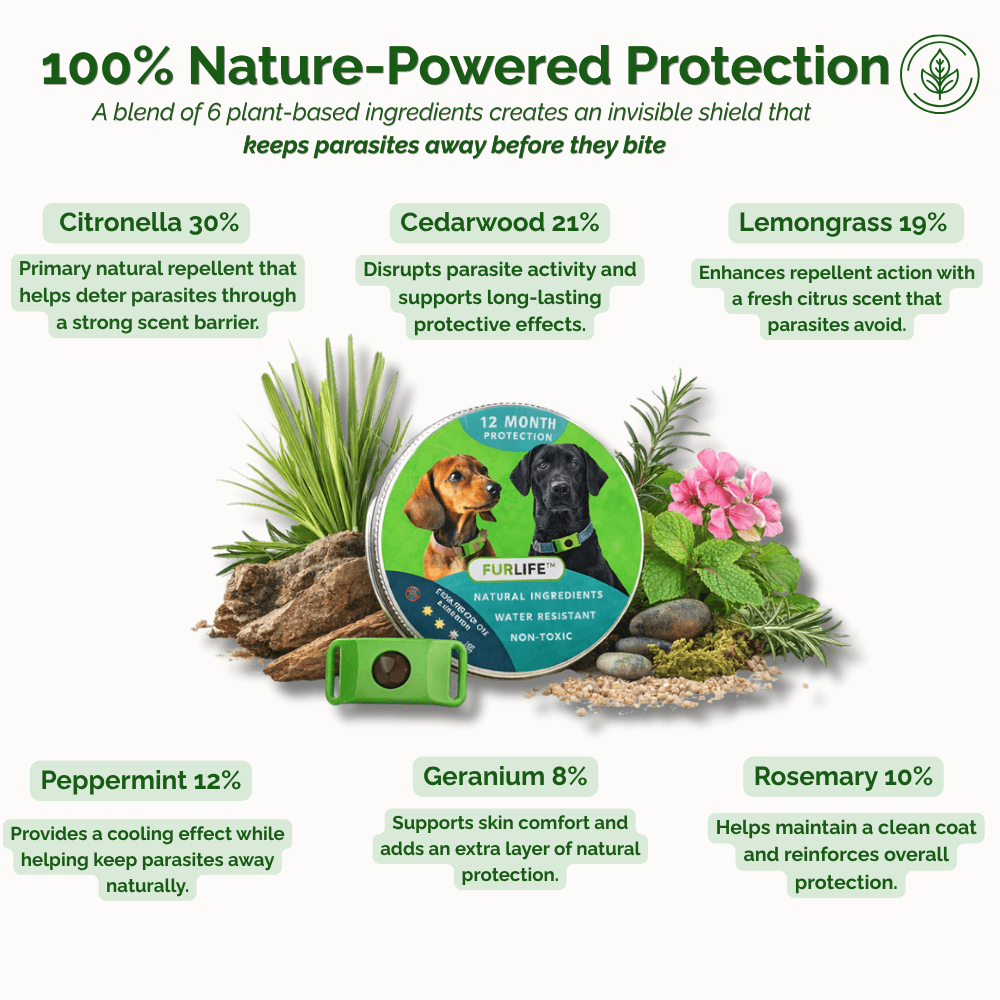 FurLife™ 12-Month Protection