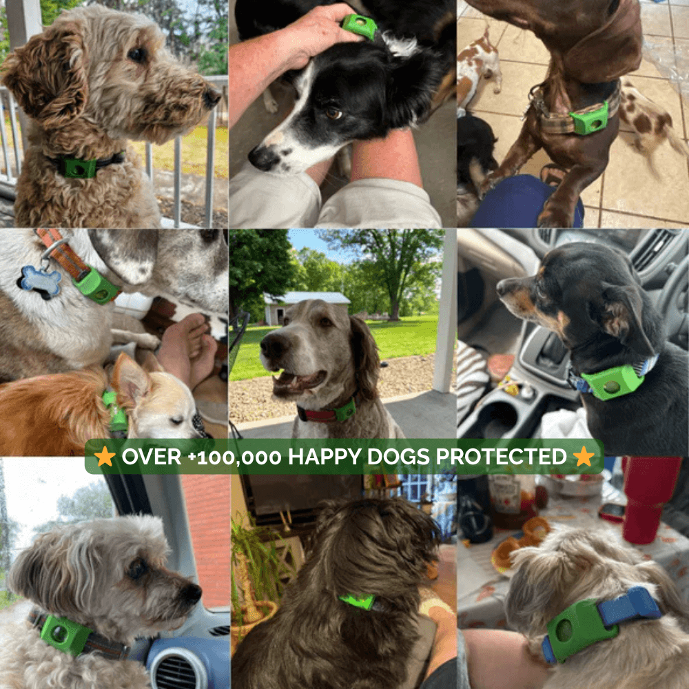 FurLife™ 12-Month Protection