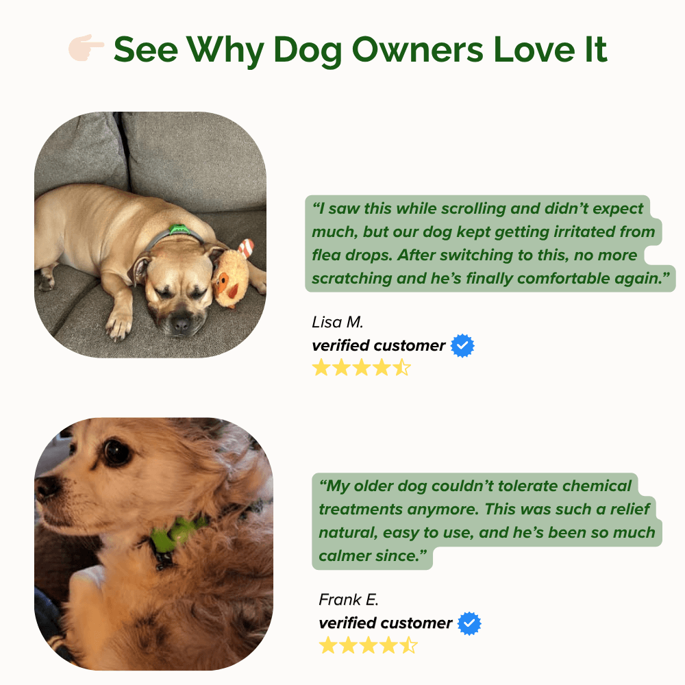 FurLife™ 12-Month Protection