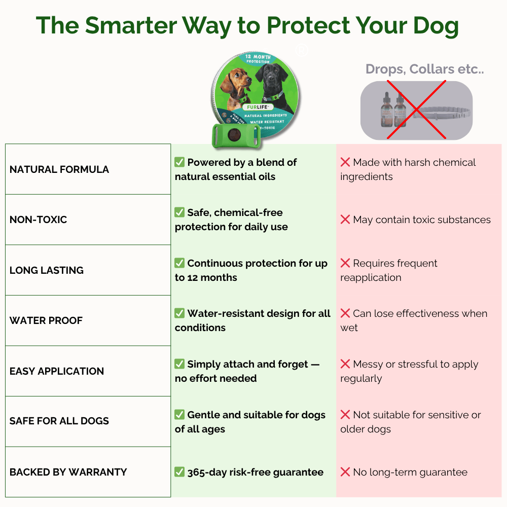 FurLife™ 12-Month Protection