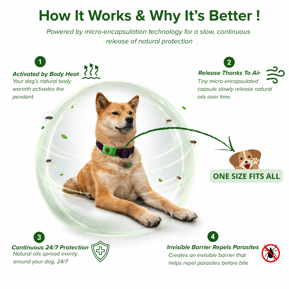 FurLife™ 12-Month Protection