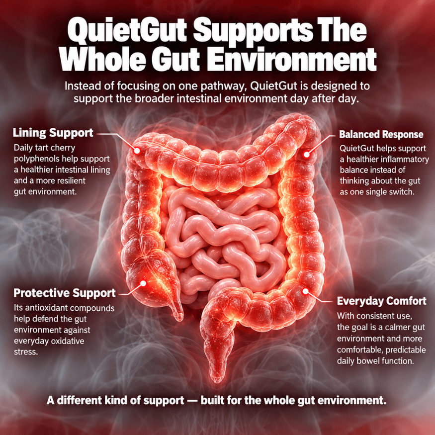 QuietGut® – Tart Cherry Whole-Gut Support Formula