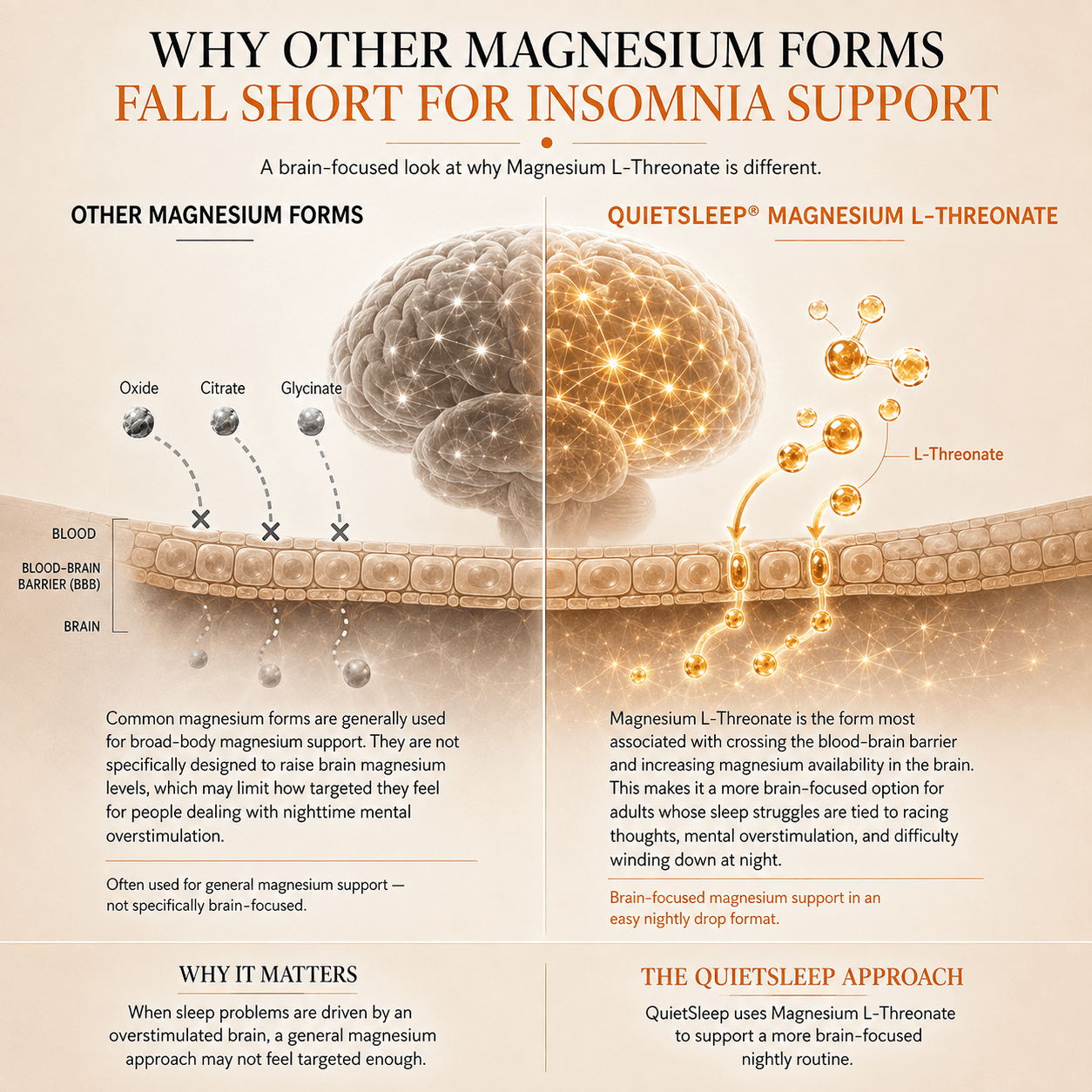 QuietSleep® Magnesium L-Threonate Drops